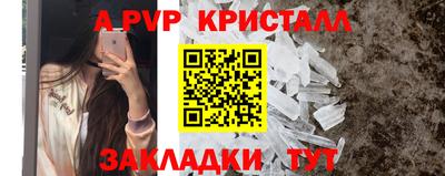 СК Ставрополь