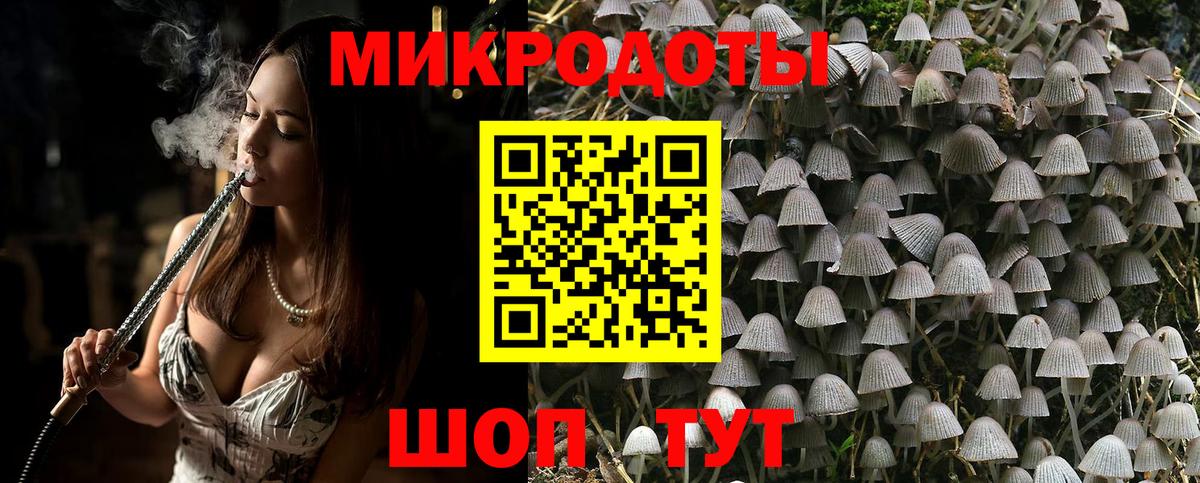 Псилоцибиновые грибы мицелий Можга
