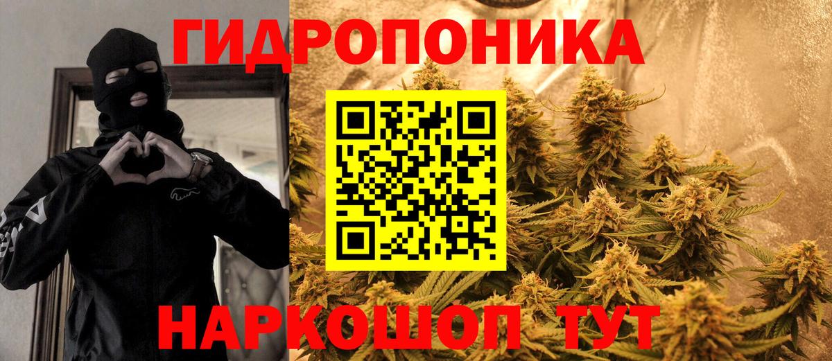 МАРИХУАНА SATIVA & INDICA Можга